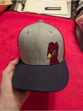 St Louis Cardinals Hat Angry Bird Trucker Snapback SGA Scott Credit Union